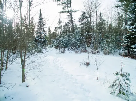 0 Vt Route 100 Londonderry VT 05148