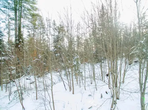 0 Vt Route 100 Londonderry VT 05148