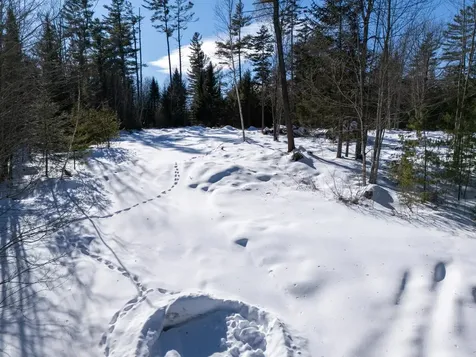 0 Vt Route 100 Londonderry VT 05148