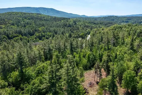 0 Vt Route 100 Londonderry VT 05148