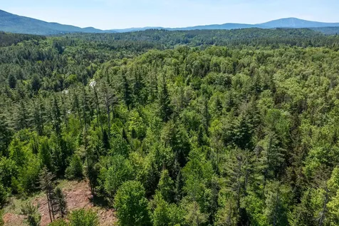 0 Vt Route 100 Londonderry VT 05148