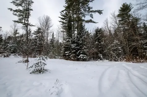 0 Vt Route 100 Londonderry VT 05148