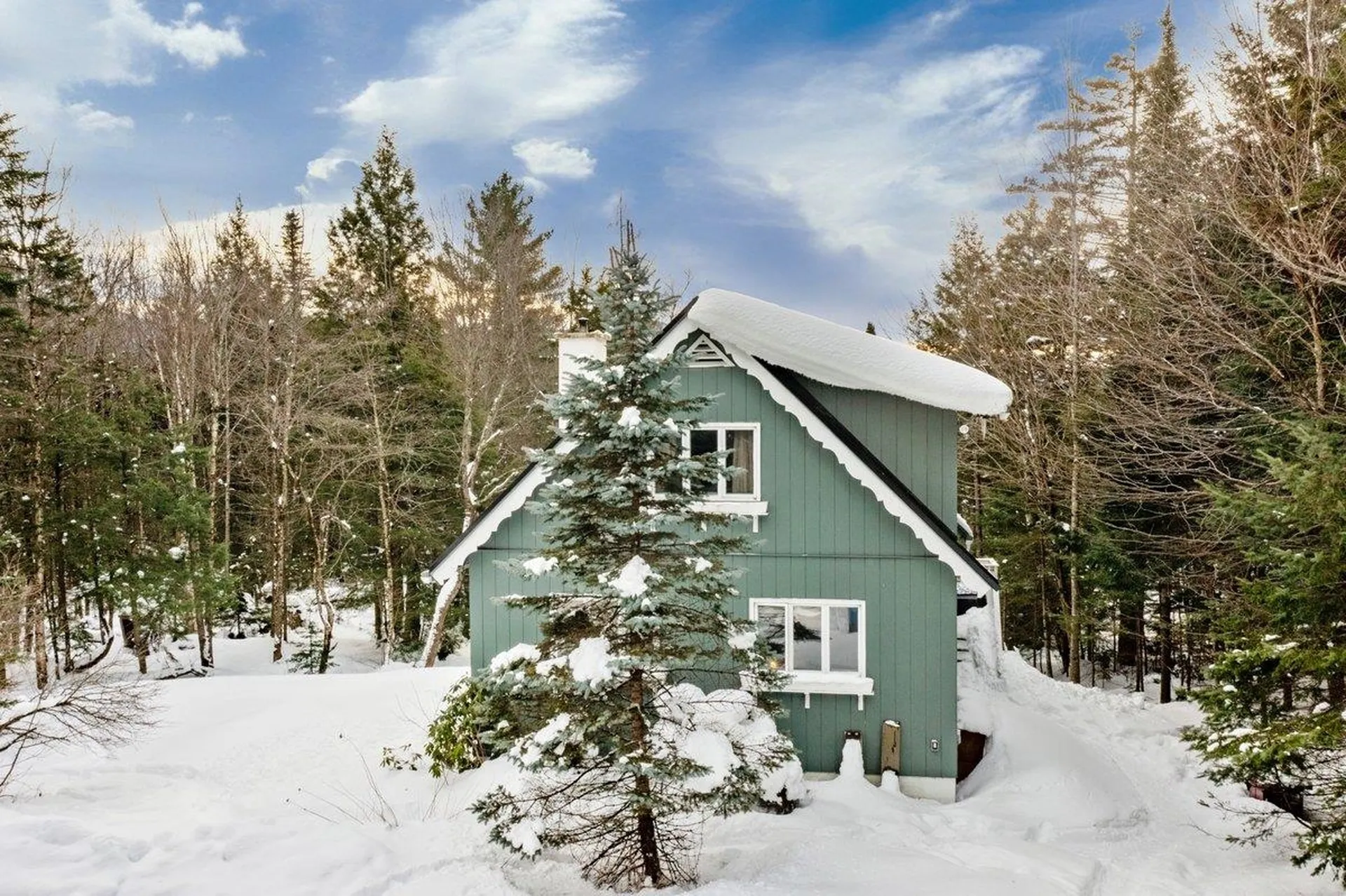250 Christmas Road Montgomery VT 05471
