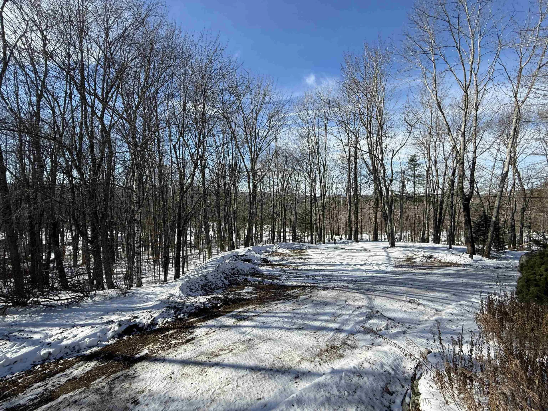 852 Sawyer Hill Road Mount Holly VT 05758