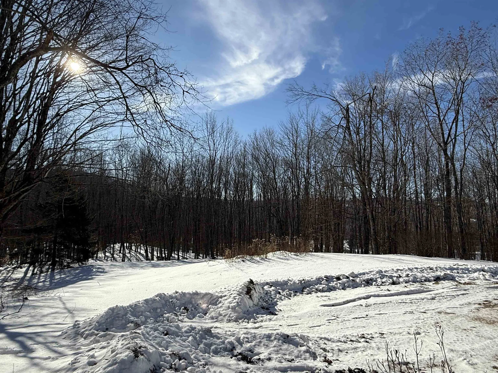 852 Sawyer Hill Road Mount Holly VT 05758