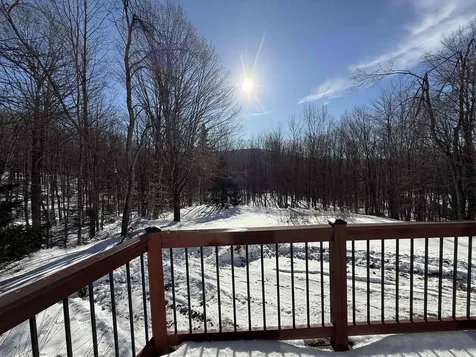 852 Sawyer Hill Road Mount Holly VT 05758