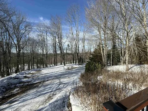 852 Sawyer Hill Road Mount Holly VT 05758