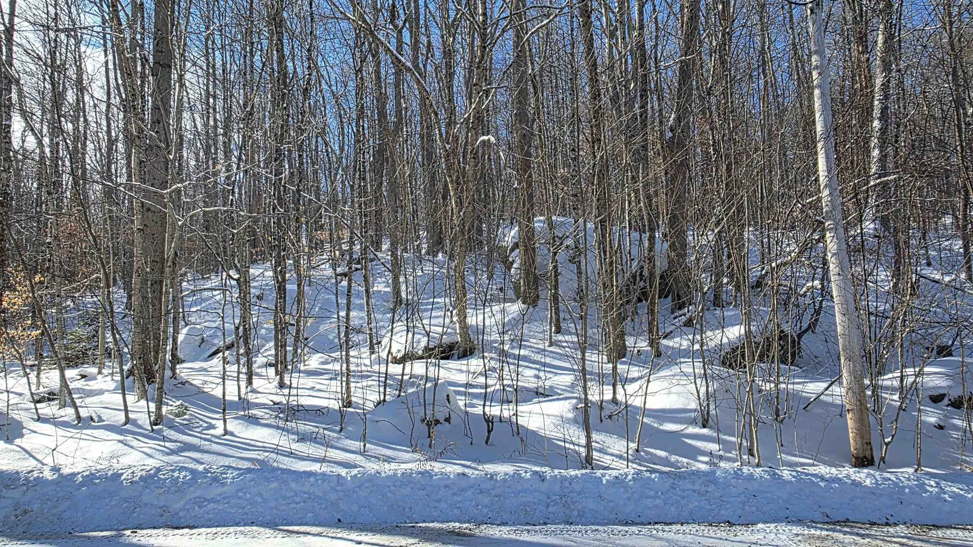 M111 L24&25 Tigola Trail Stoddard NH 03464