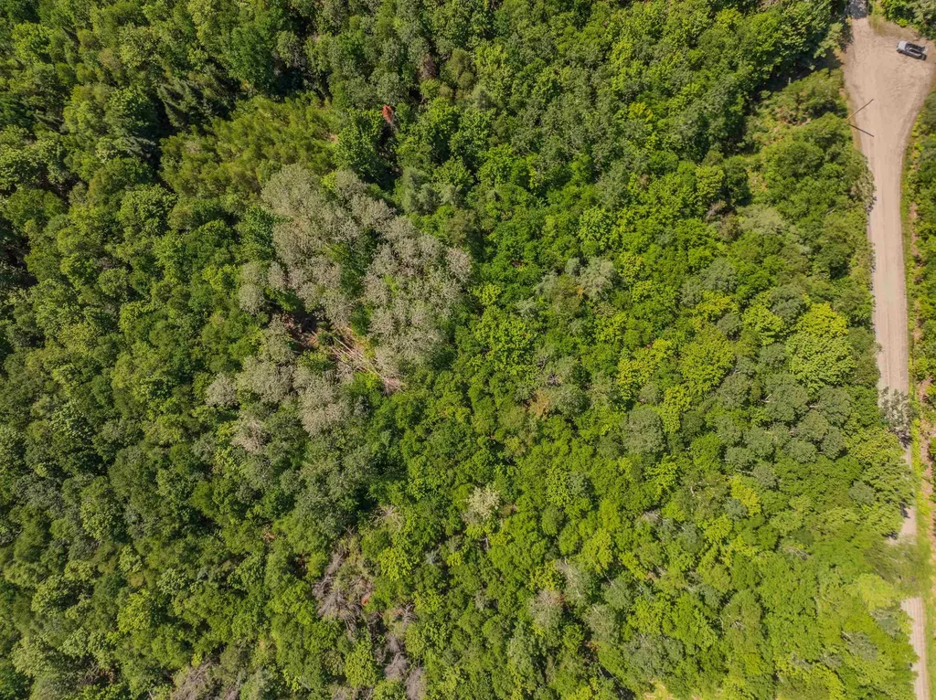 175 Rockwood Road Franconia NH 03580