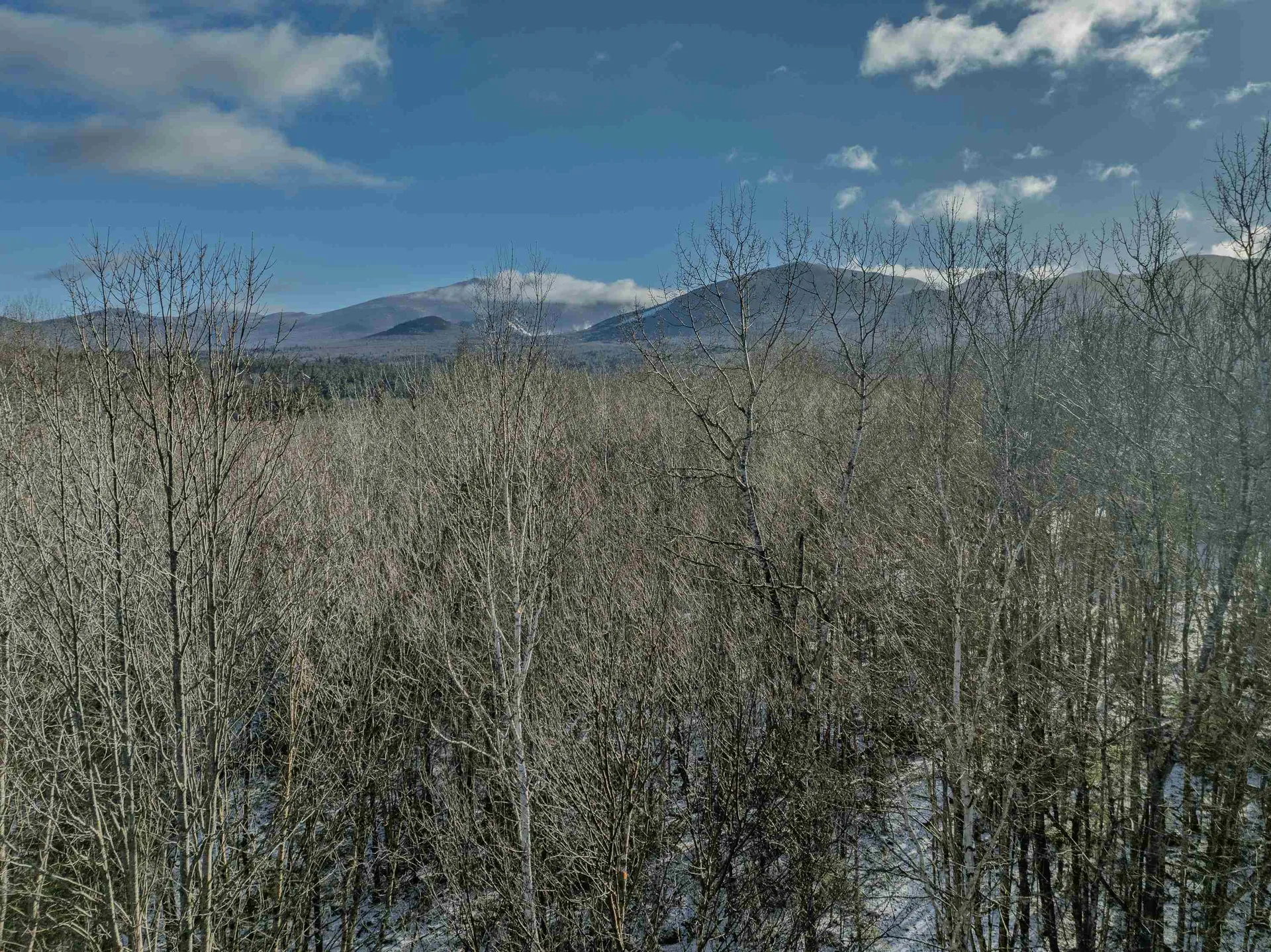 175 Rockwood Road Franconia NH 03580