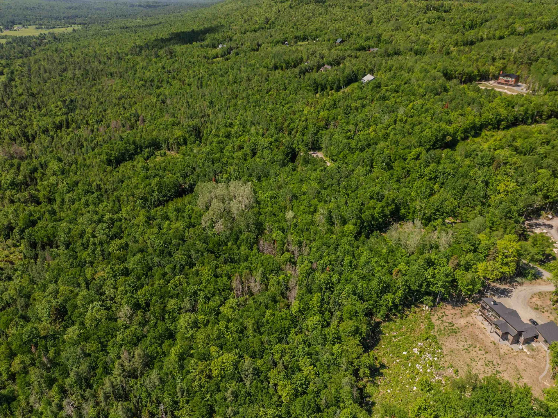 175 Rockwood Road Franconia NH 03580