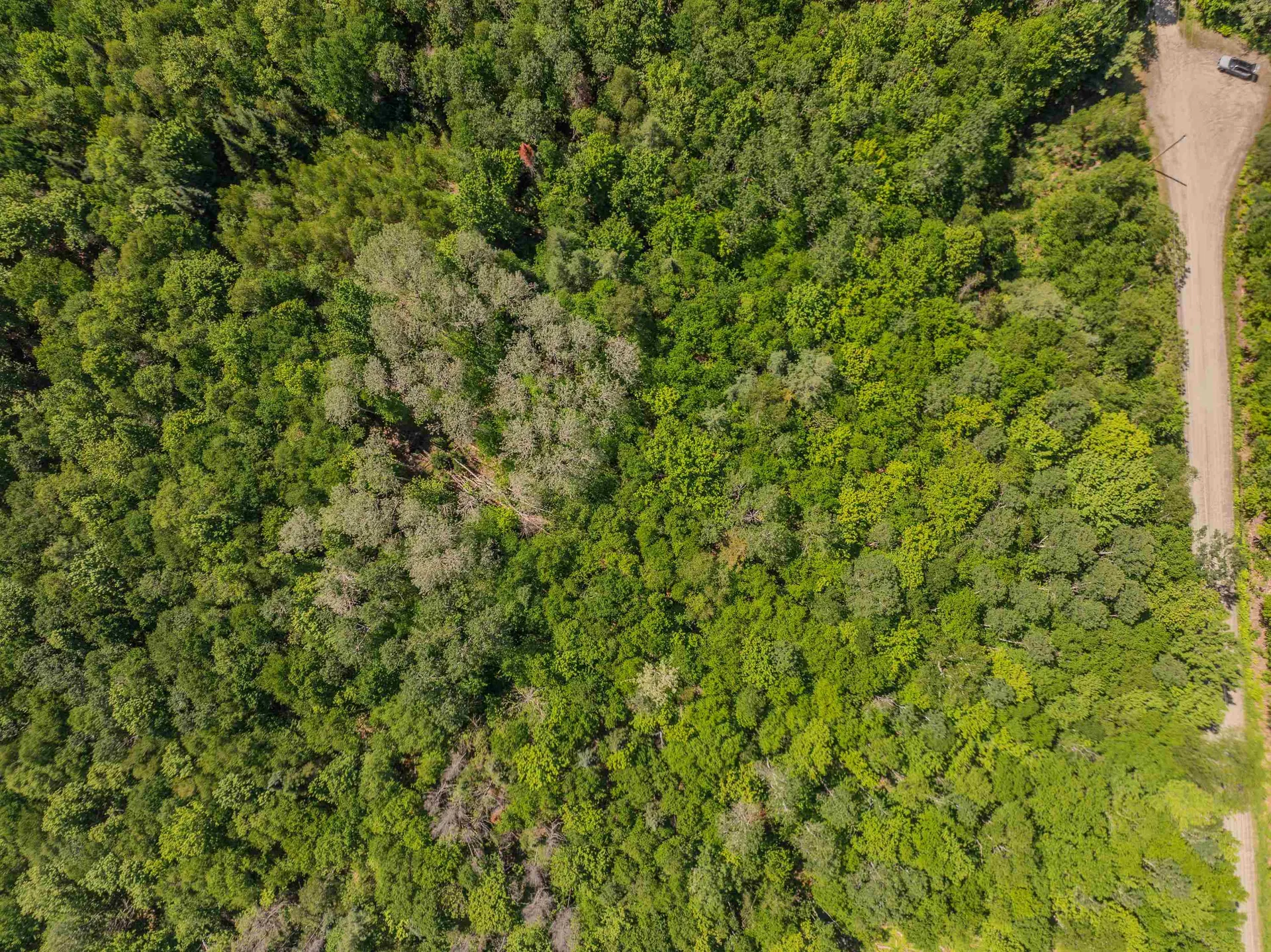 175 Rockwood Road Franconia NH 03580