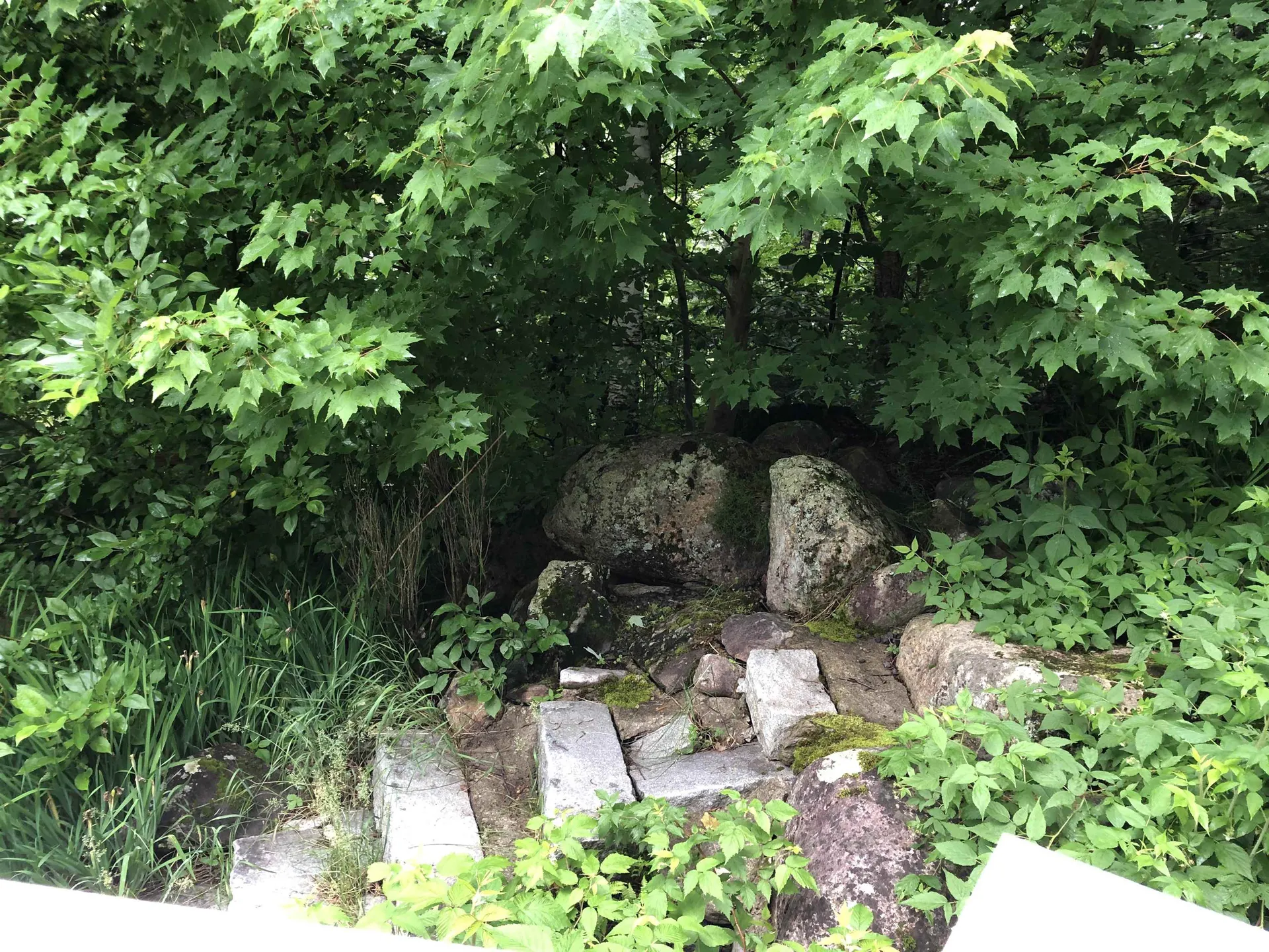 46 Packards Road Waterville Valley NH 03215