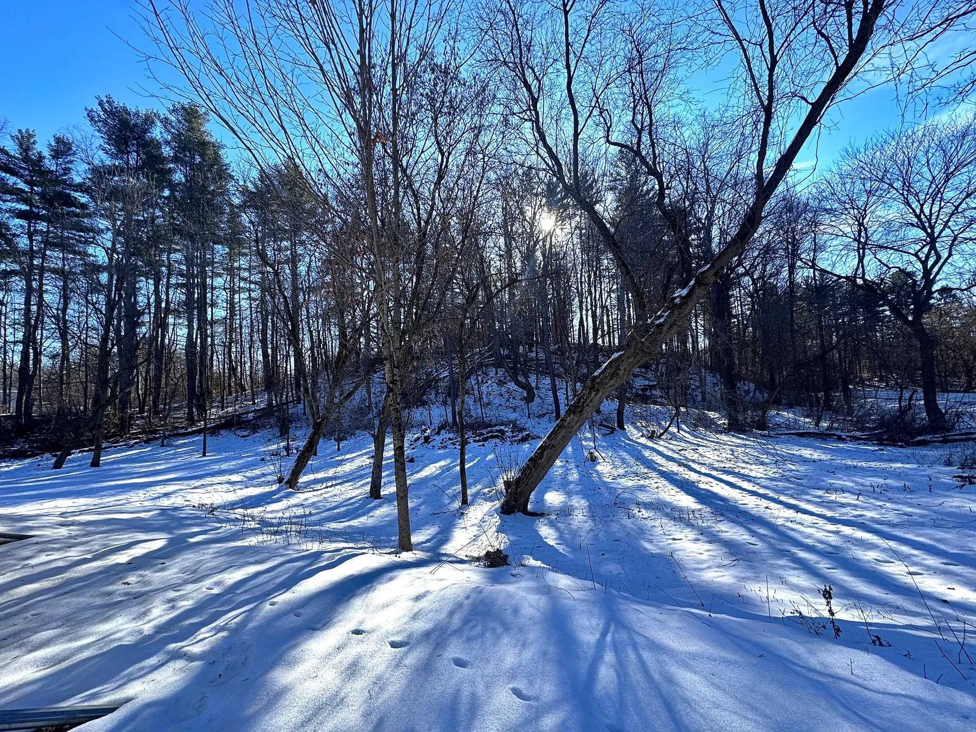 726 Rice Lane Bennington VT 05201