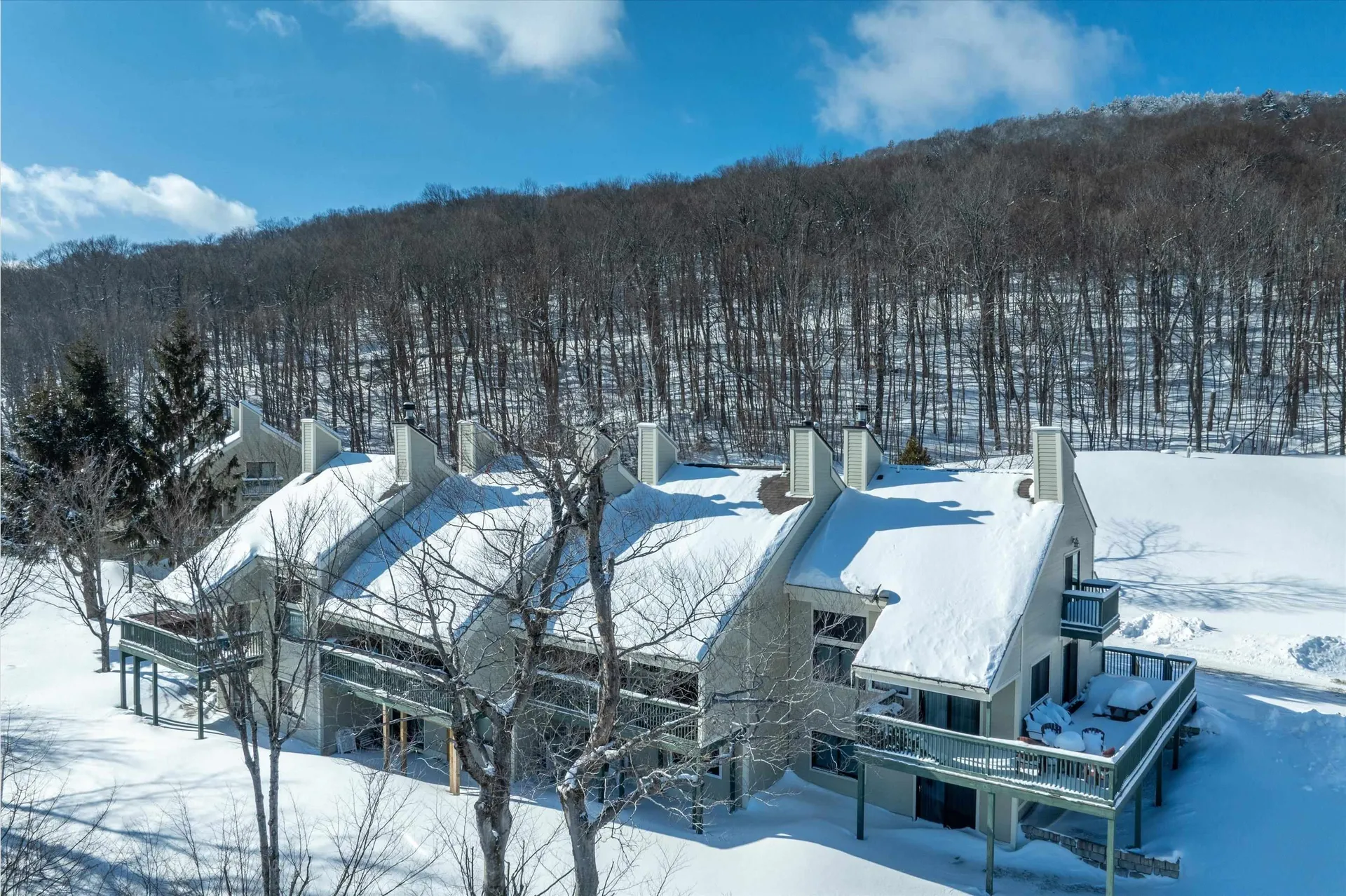 233 Okemo Trailside Extension Ludlow VT 05149