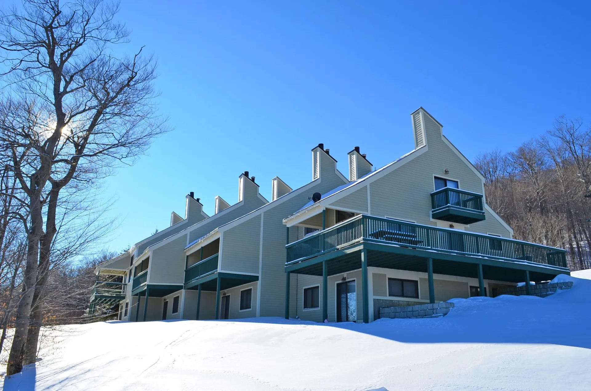 233 Okemo Trailside Extension Ludlow VT 05149