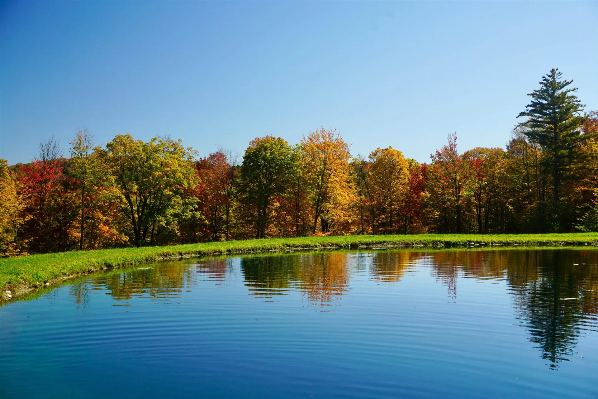 1269 Howard Hill Road Andover VT 05143