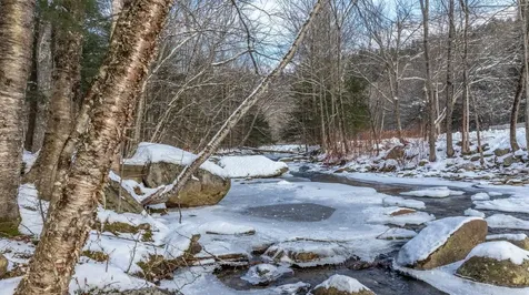 56 Turner Mill Lane Stowe VT 05672