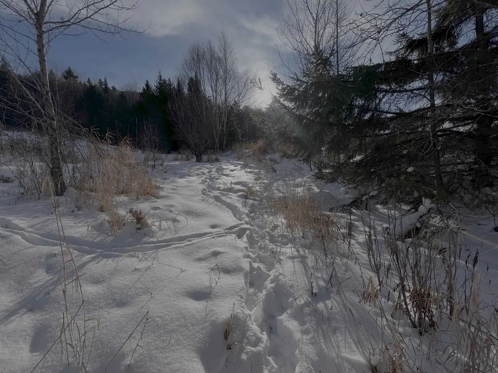 0 Ridge Road Kirby VT 05851