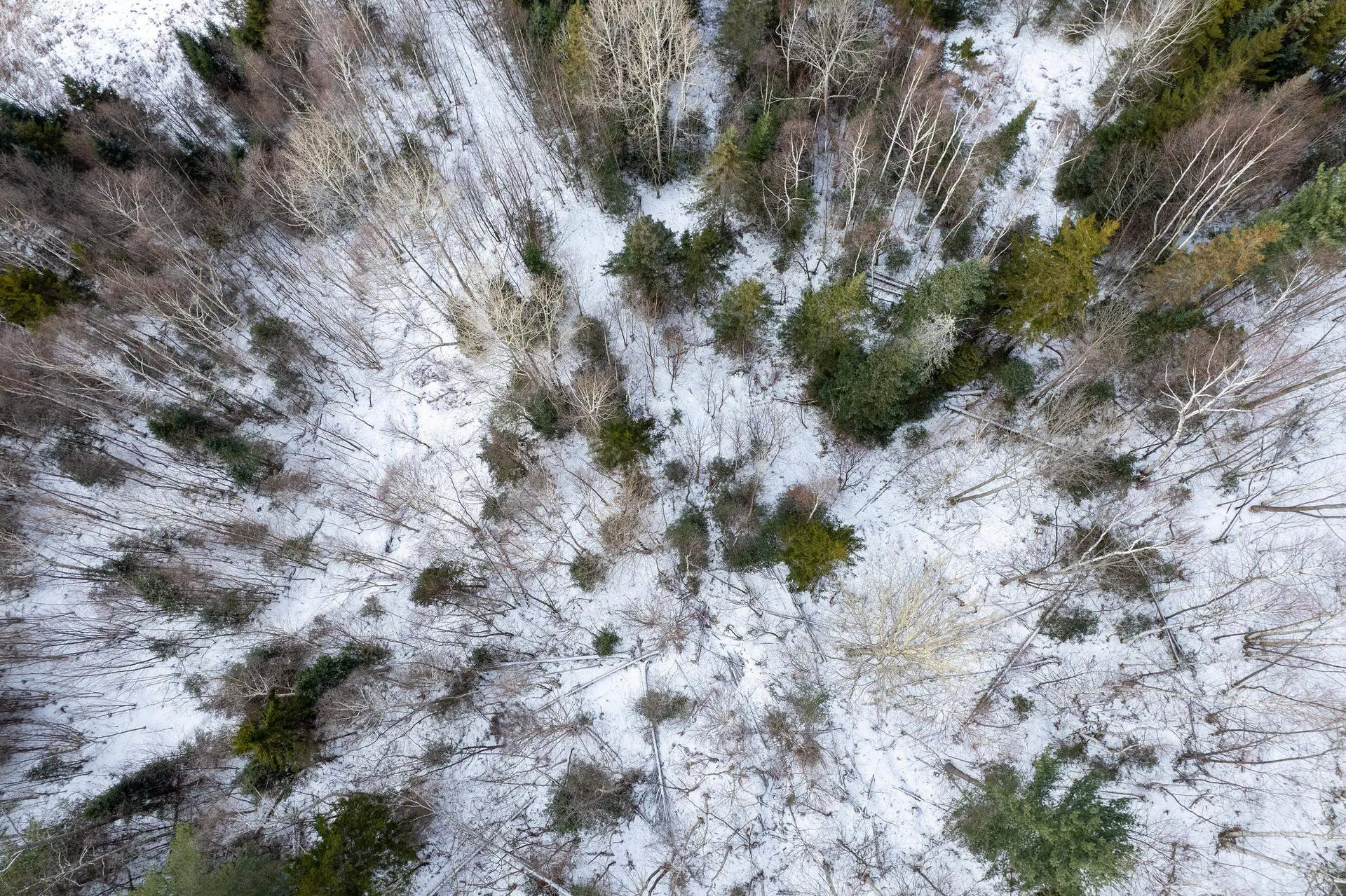 0 Ridge Road Kirby VT 05851