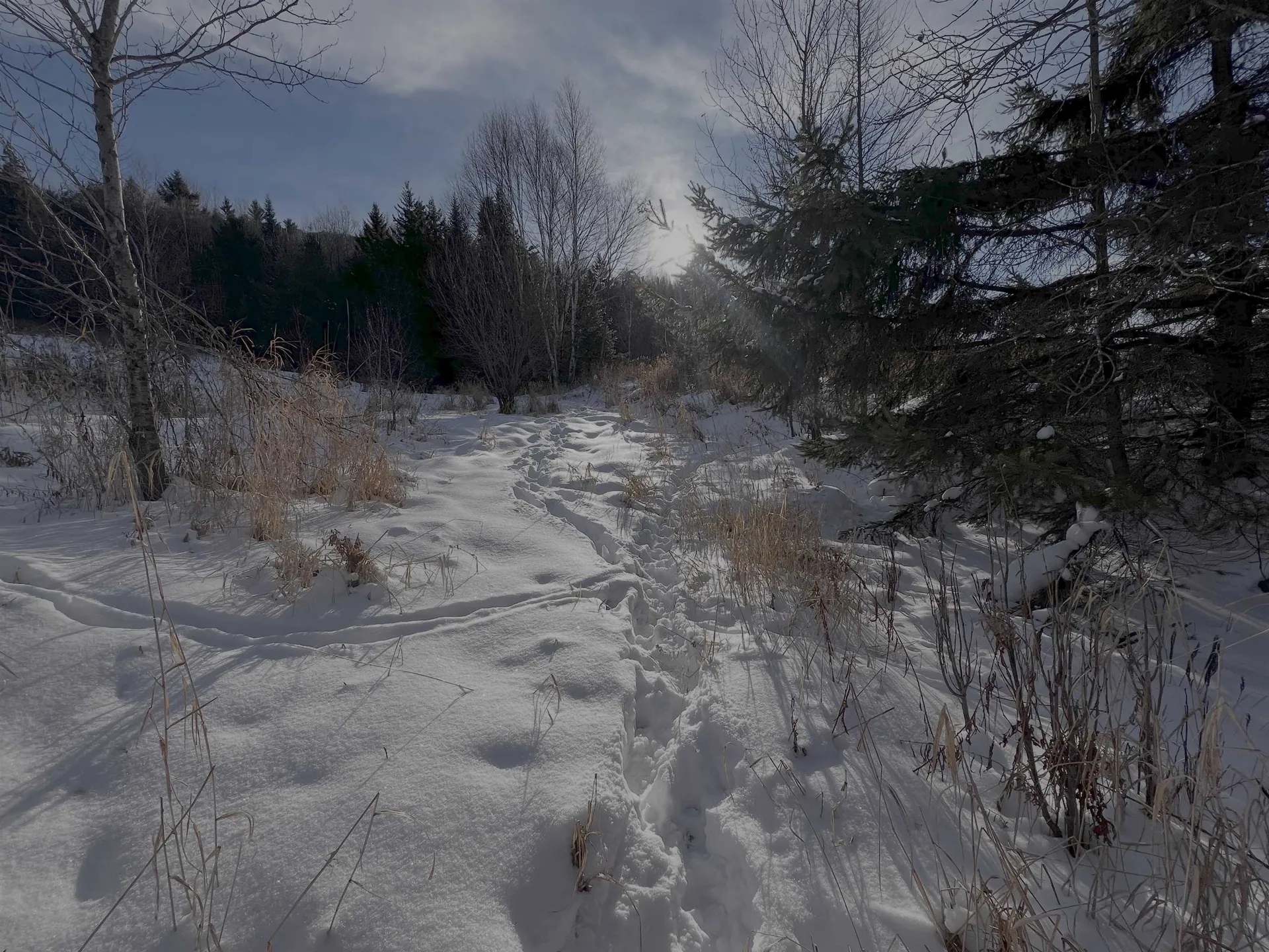 0 Ridge Road Kirby VT 05851