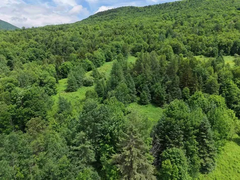 0 Ridge Road Kirby VT 05851