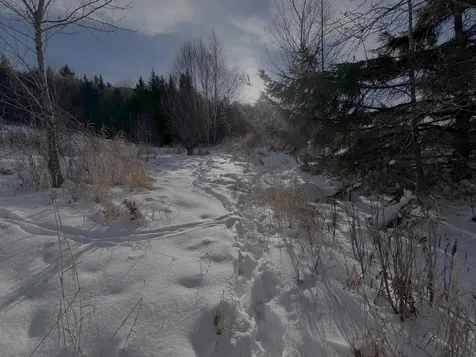 0 Ridge Road Kirby VT 05851