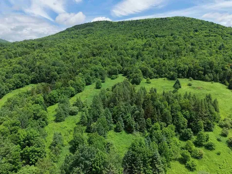 0 Ridge Road Kirby VT 05851