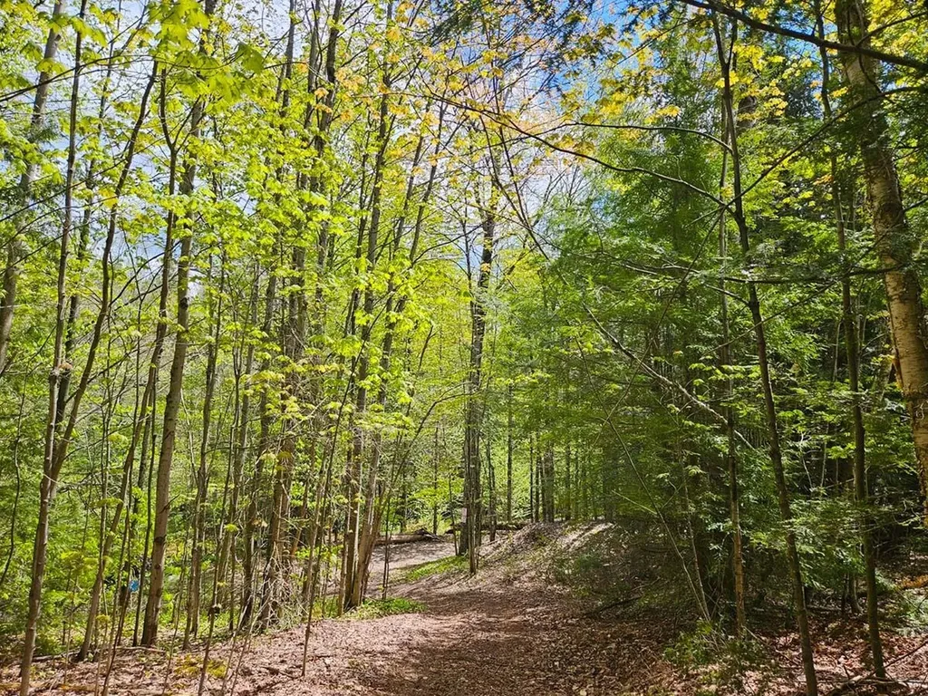 Lot 4 Berry Road Berkshire VT 05450