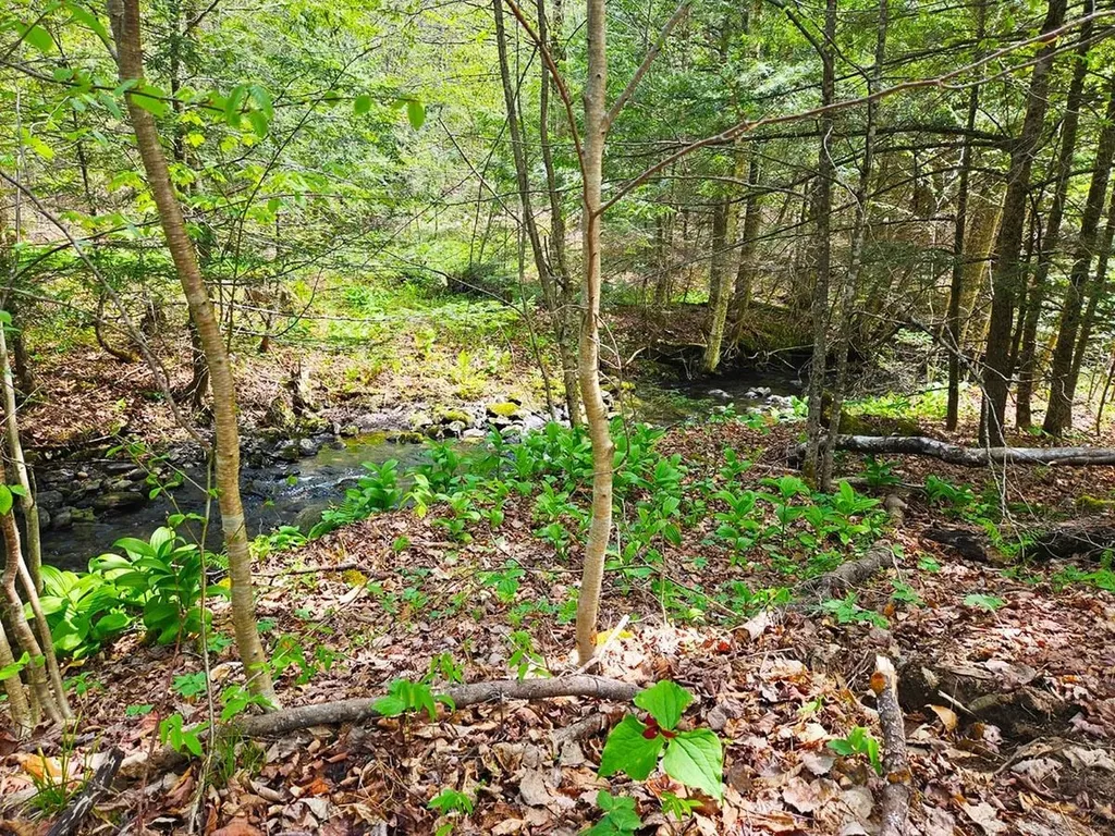 Lot 4 Berry Road Berkshire VT 05450
