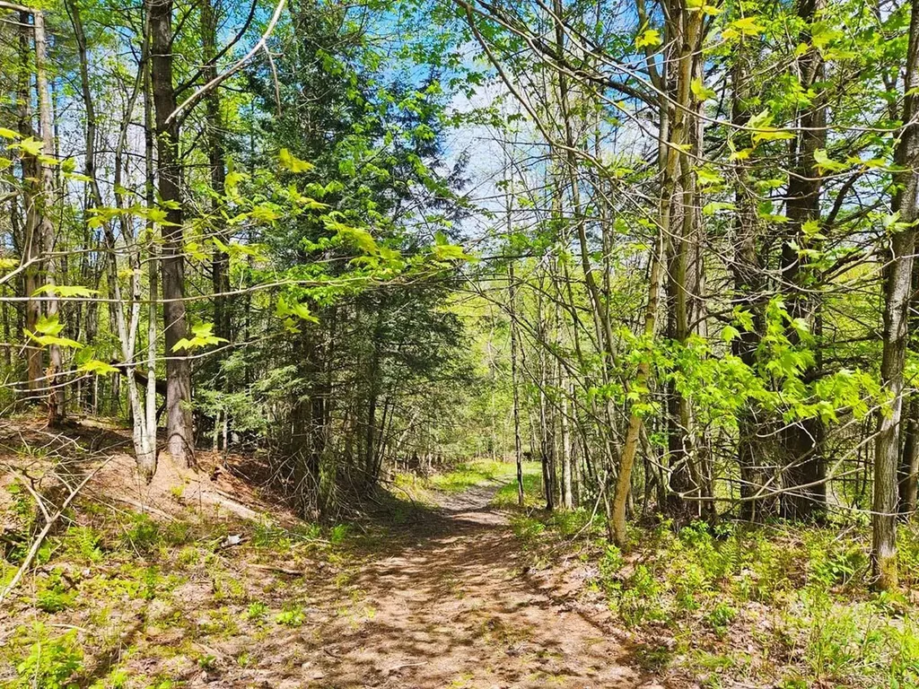 Lot 4 Berry Road Berkshire VT 05450