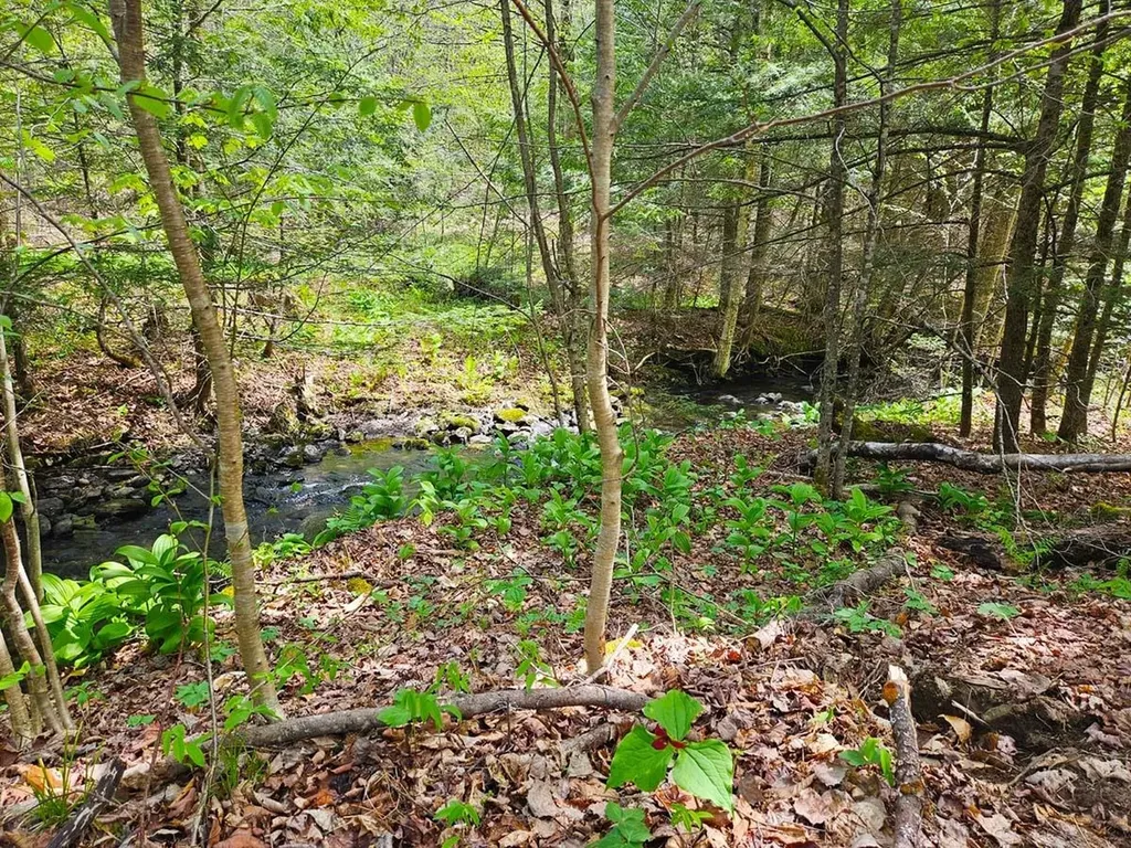 Lot 4 Berry Road Berkshire VT 05450