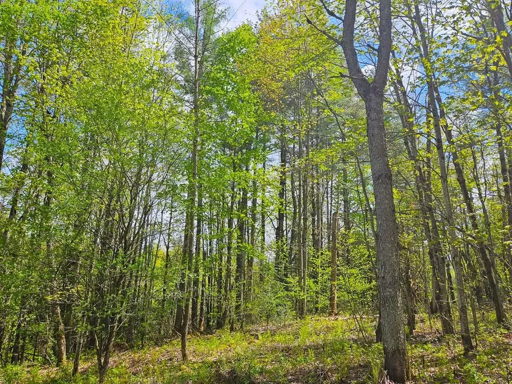 Lot 4 Berry Road Berkshire VT 05450
