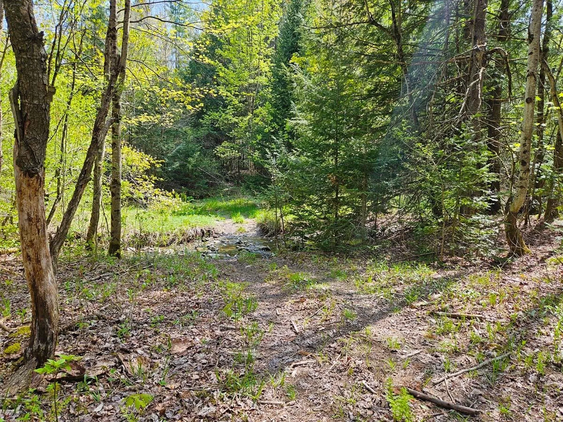 Lot 4 Berry Road Berkshire VT 05450