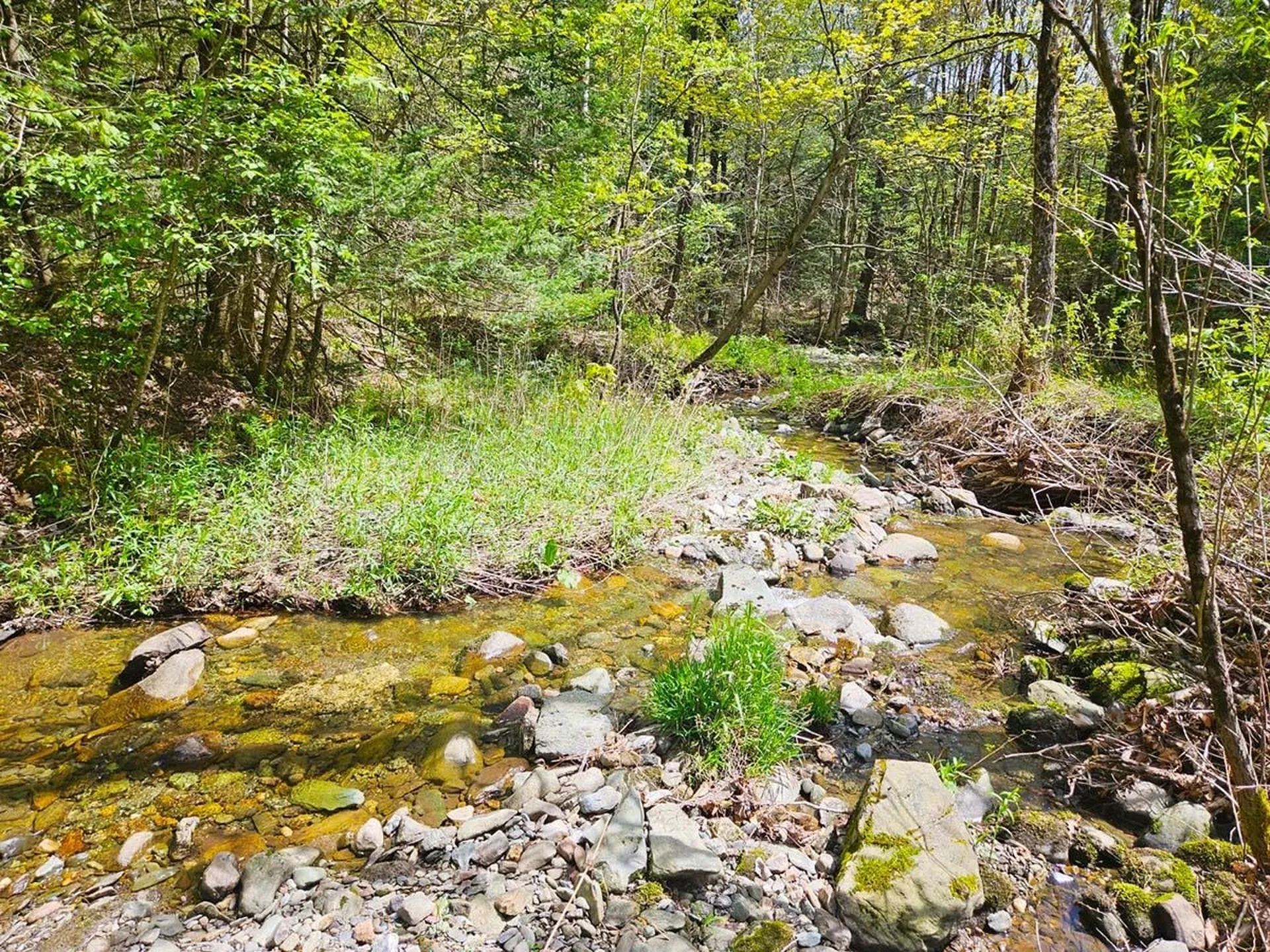 Lot 4 Berry Road Berkshire VT 05450