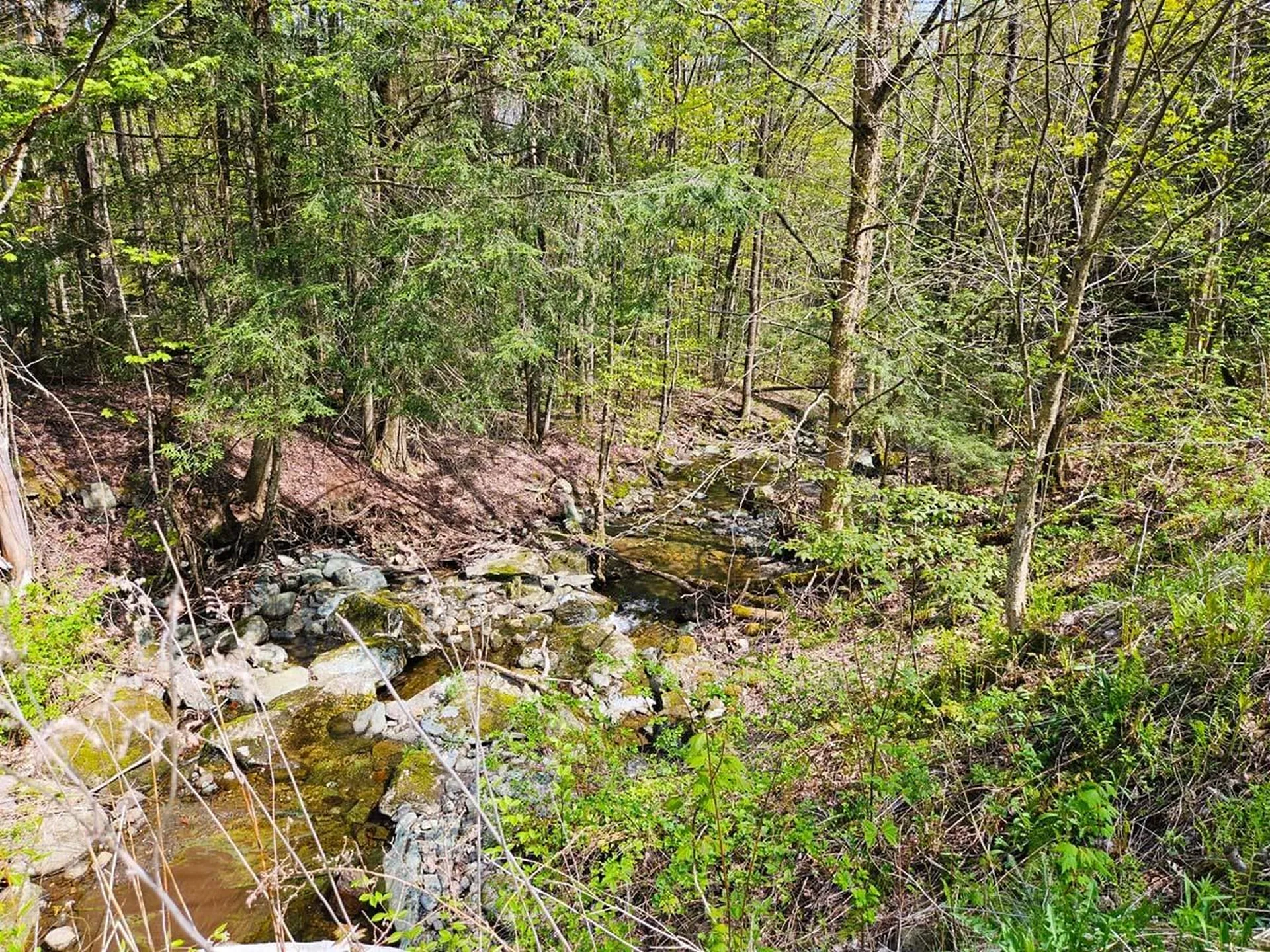 Lot 4 Berry Road Berkshire VT 05450