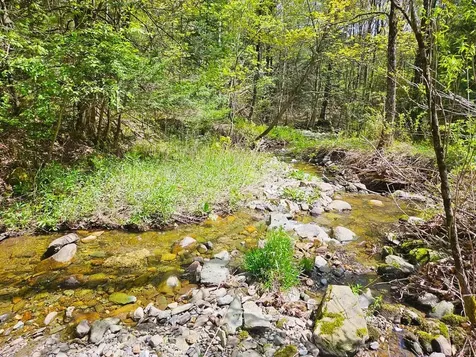 Lot 4 Berry Road Berkshire VT 05450