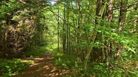 Lot 4 Berry Road Berkshire VT 05450