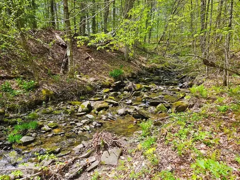 Lot 4 Berry Road Berkshire VT 05450