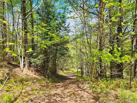 Lot 4 Berry Road Berkshire VT 05450