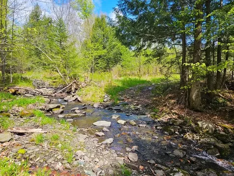 Lot 4 Berry Road Berkshire VT 05450