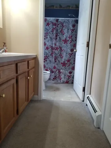 375 Pine River Road Effingham NH 03882