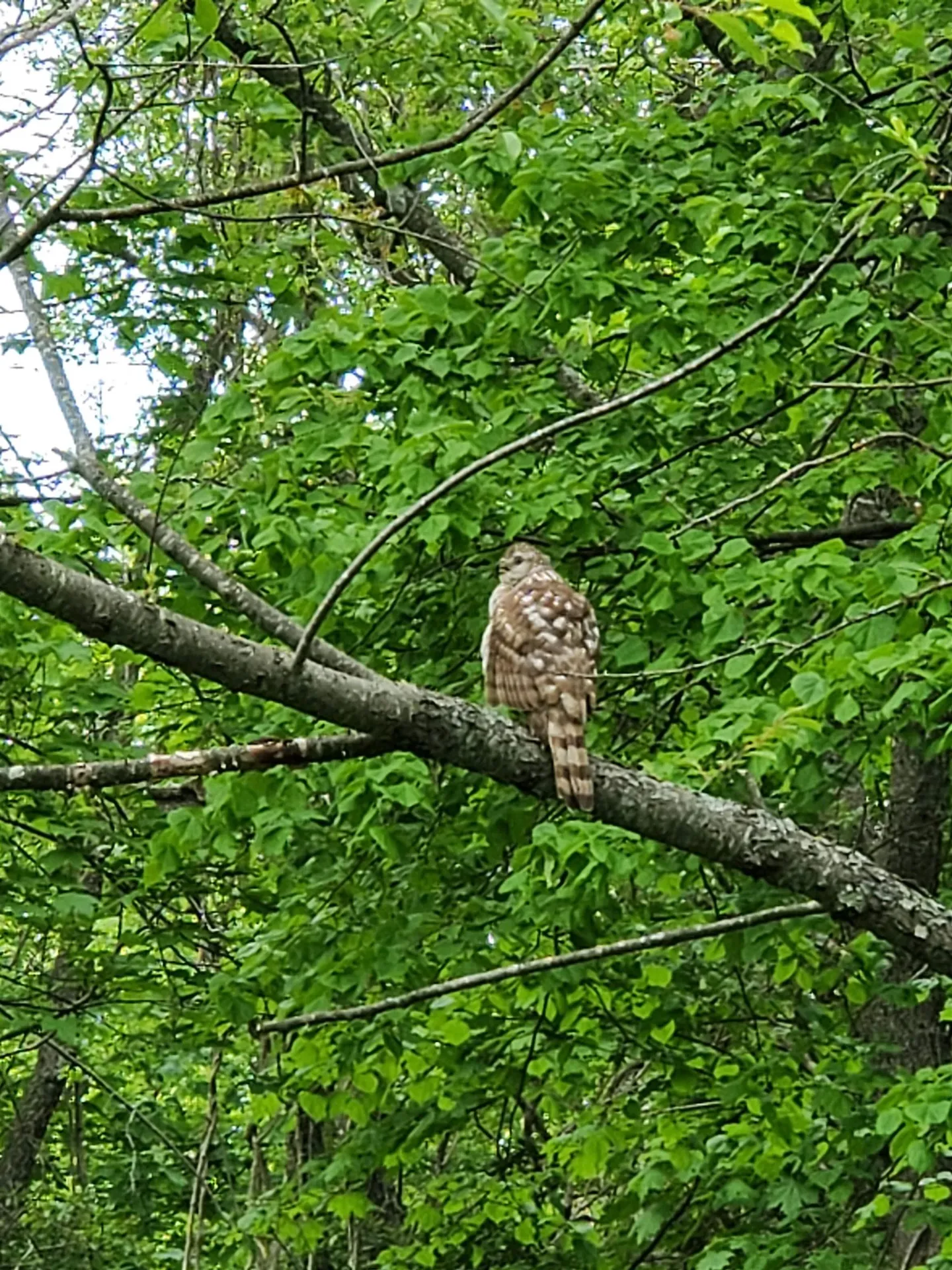 281 Old County Lane Readsboro VT 05350