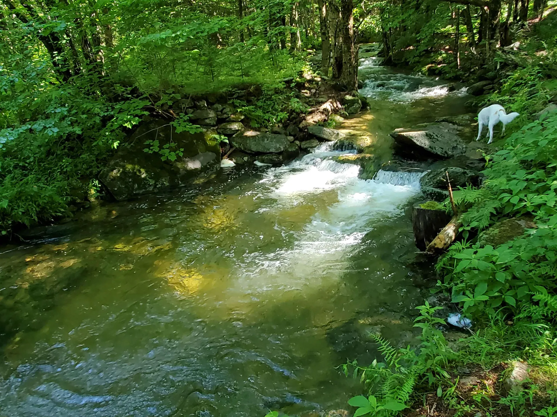 281 Old County Lane Readsboro VT 05350