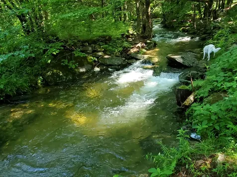 281 Old County Lane Readsboro VT 05350