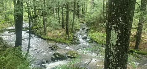 281 Old County Lane Readsboro VT 05350