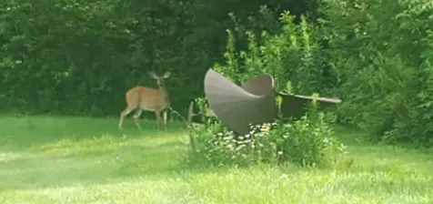 281 Old County Lane Readsboro VT 05350