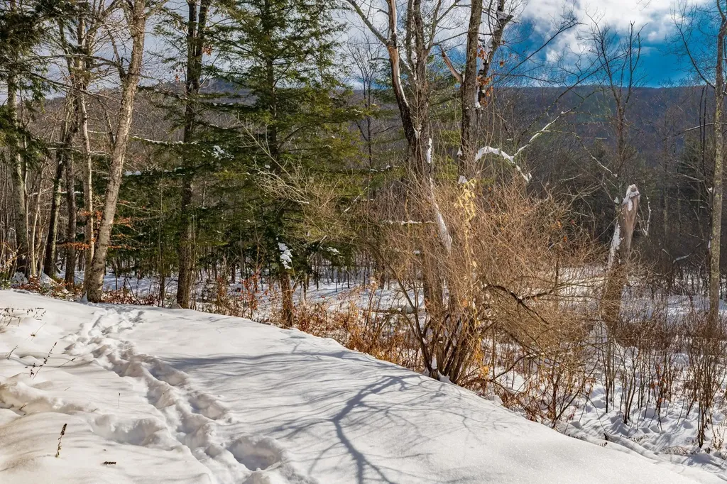 354 New Ireland Road Manchester VT 05255