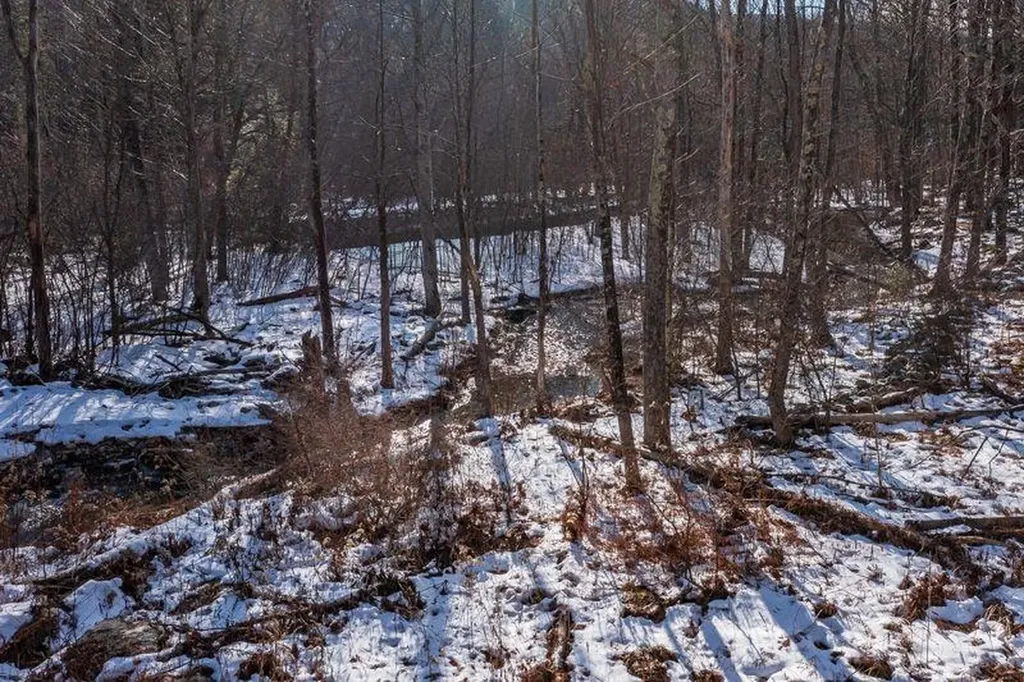 354 New Ireland Road Manchester VT 05255