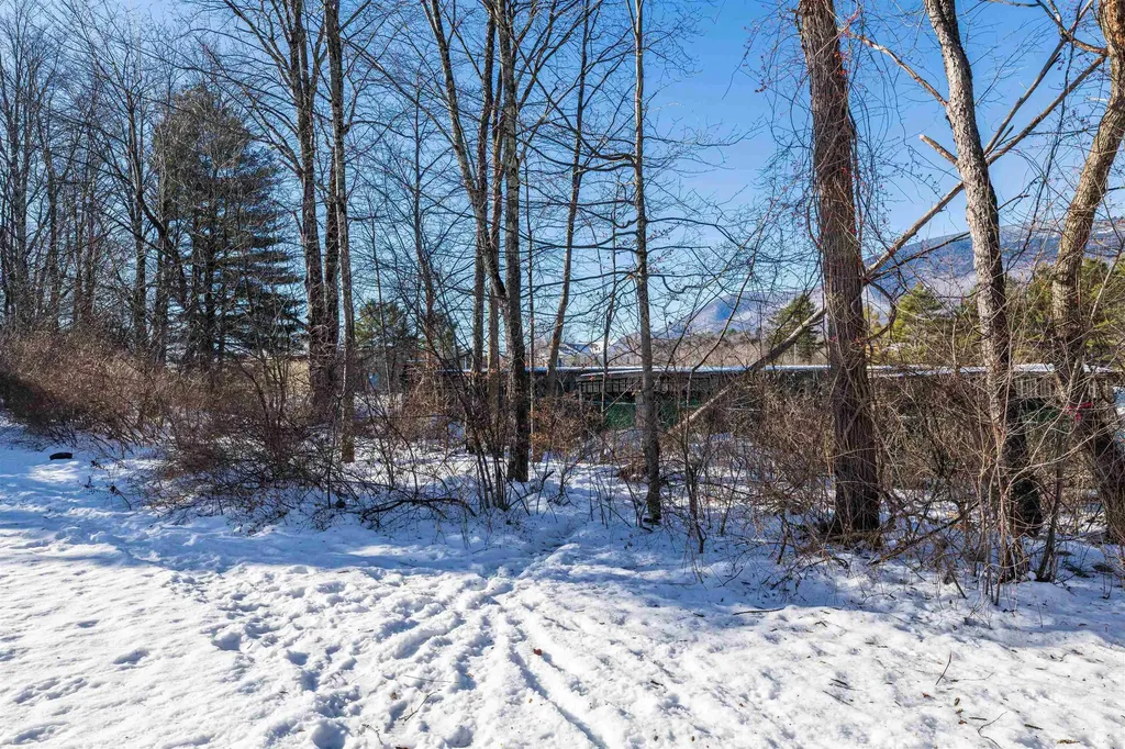 67 Bourn Brook Road Manchester VT 05255